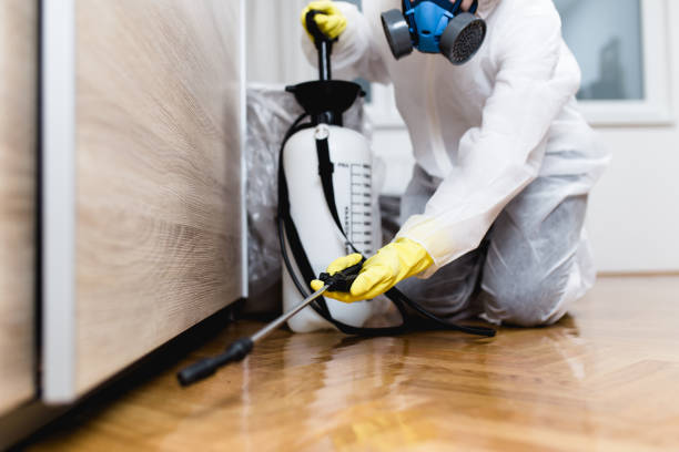 Best Wasp Removal Services  in Baton Rouge, LA
