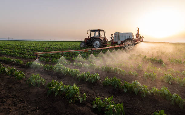 Pest Control Cost in Baton Rouge, LA