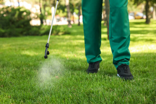 Best Bed Bug Extermination  in Baton Rouge, LA