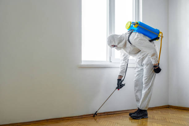 Insect Control in Baton Rouge, LA