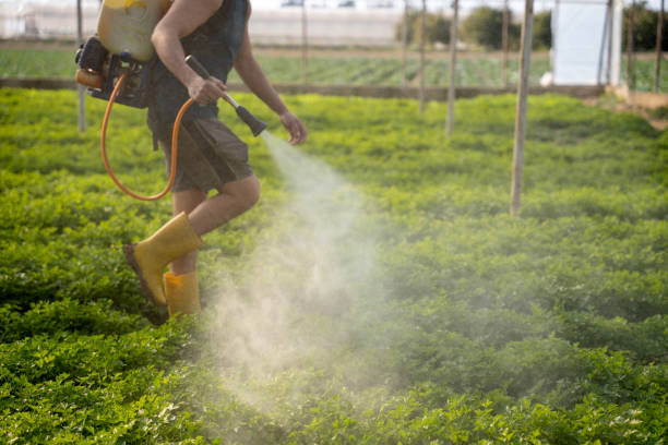 Best Pest Control for Homes  in Baton Rouge, LA