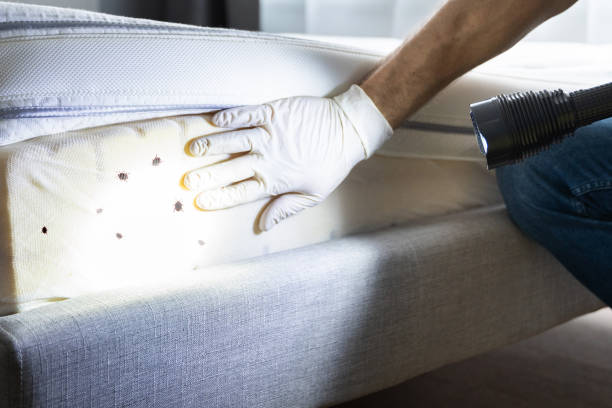 Best Pest Control Treatment  in Baton Rouge, LA