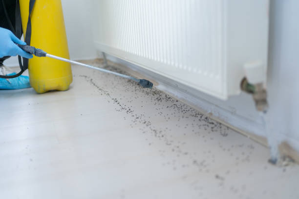 Best Pest Inspection Near Me  in Baton Rouge, LA