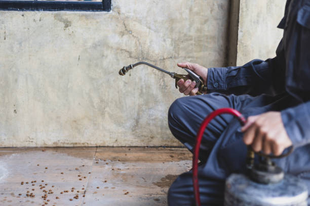 Best Wasp Removal Services  in Baton Rouge, LA